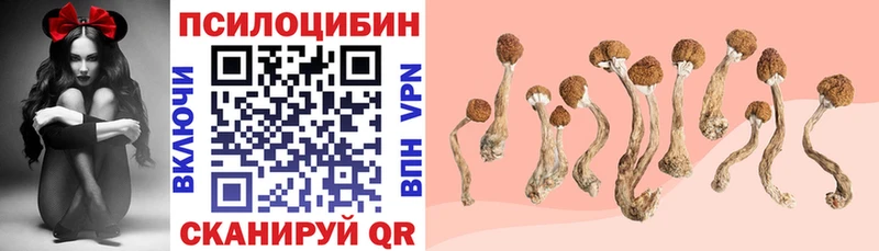 даркнет официальный сайт купить наркотики цена Мышкин Псилоцибиновые грибы Cubensis